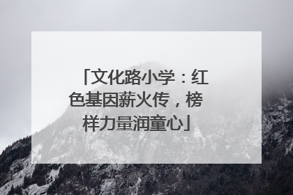 文化路小学：红色基因薪火传，榜样力量润童心