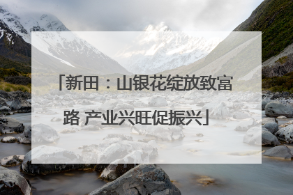 新田：山银花绽放致富路 产业兴旺促振兴