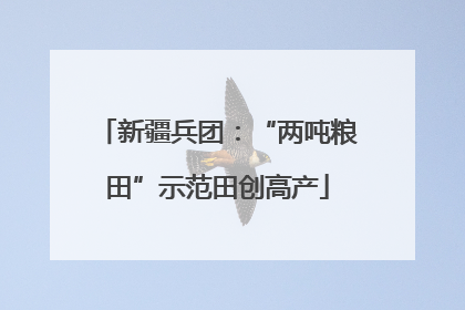 新疆兵团：“两吨粮田”示范田创高产