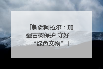 新疆阿拉尔：加强古树保护 守好“绿色文物”