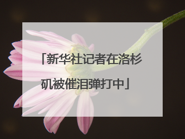 新华社记者在洛杉矶被催泪弹打中