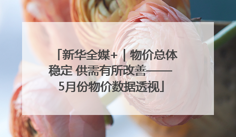 新华全媒+｜物价总体稳定 供需有所改善——5月份物价数据透视