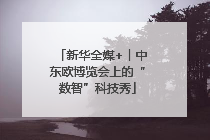 新华全媒+丨中东欧博览会上的“数智”科技秀