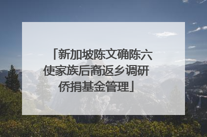 新加坡陈文确陈六使家族后裔返乡调研侨捐基金管理