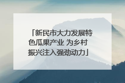 新民市大力发展特色瓜果产业 为乡村振兴注入强劲动力