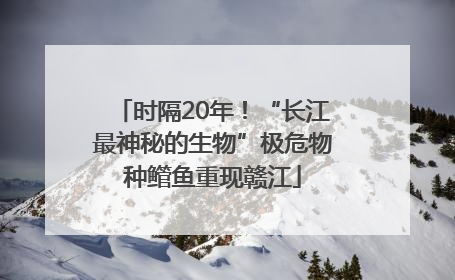 时隔20年！“长江最神秘的生物”极危物种鳤鱼重现赣江