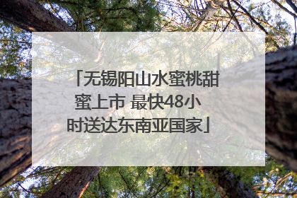 无锡阳山水蜜桃甜蜜上市 最快48小时送达东南亚国家