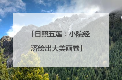 日照五莲：小院经济绘出大美画卷