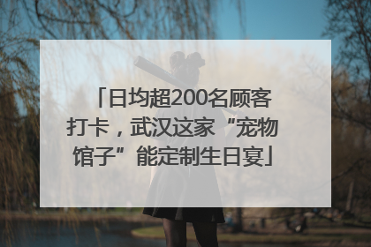 日均超200名顾客打卡，武汉这家“宠物馆子”能定制生日宴