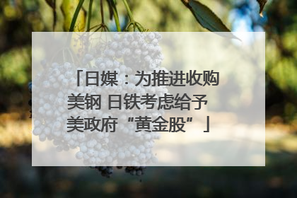 日媒：为推进收购美钢 日铁考虑给予美政府“黄金股”