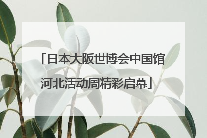 日本大阪世博会中国馆河北活动周精彩启幕
