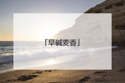 旱碱麦香