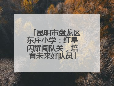 昆明市盘龙区东庄小学：红星闪耀闯队关，培育未来好队员