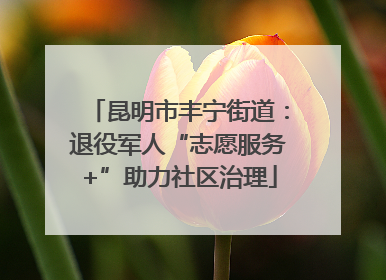 昆明市丰宁街道：退役军人“志愿服务+”助力社区治理