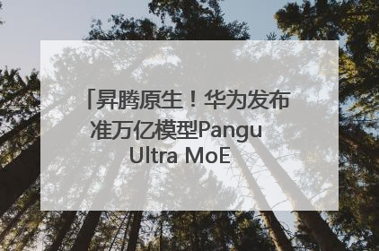 昇腾原生！华为发布准万亿模型Pangu Ultra MoE模型架构和训练细节