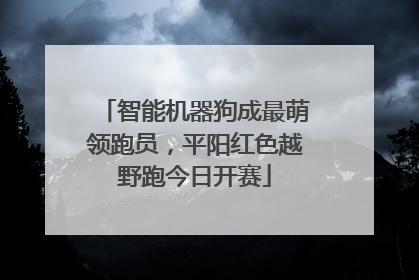 智能机器狗成最萌领跑员，平阳红色越野跑今日开赛