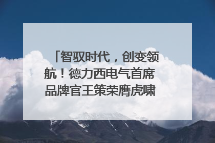 智驭时代，创变领航！德力西电气首席品牌官王策荣膺虎啸奖年度品牌人物