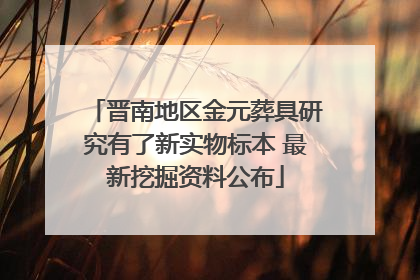 晋南地区金元葬具研究有了新实物标本 最新挖掘资料公布