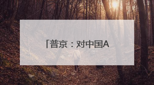 普京：对中国AI成果“感到惊喜”，俄民众对汉语兴趣正在增加
