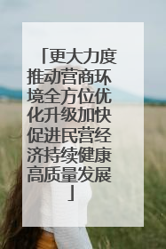 更大力度推动营商环境全方位优化升级加快促进民营经济持续健康高质量发展