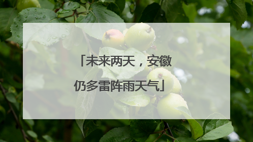 未来两天，安徽仍多雷阵雨天气