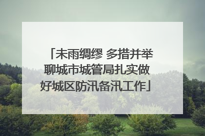 未雨绸缪 多措并举 聊城市城管局扎实做好城区防汛备汛工作