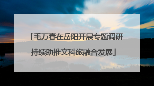 毛万春在岳阳开展专题调研 持续助推文科旅融合发展
