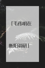 毛伟明在衡阳调研