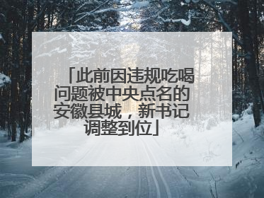 此前因违规吃喝问题被中央点名的安徽县城，新书记调整到位