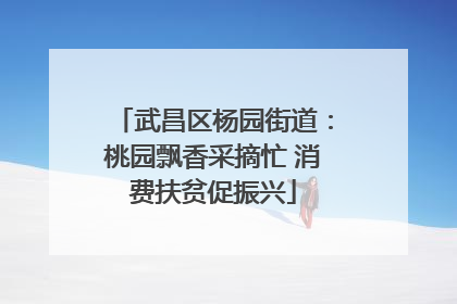 武昌区杨园街道：桃园飘香采摘忙 消费扶贫促振兴