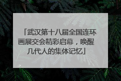 武汉第十八届全国连环画展交会精彩启幕，唤醒几代人的集体记忆