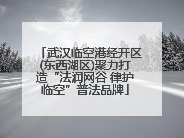 武汉临空港经开区(东西湖区)聚力打造“法润网谷 律护临空”普法品牌
