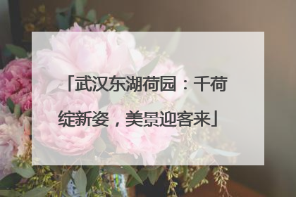 武汉东湖荷园：千荷绽新姿，美景迎客来