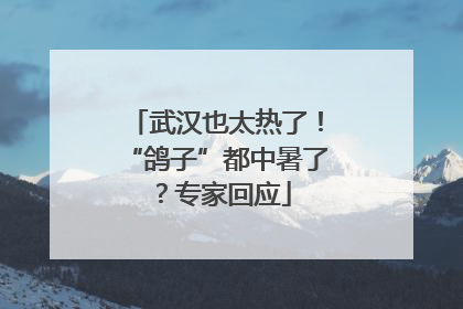 武汉也太热了！“鸽子”都中暑了？专家回应