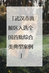武汉市黄陂区入选全国首批综合类典型案例