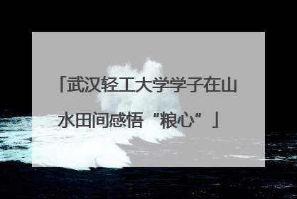 武汉轻工大学学子在山水田间感悟“粮心”