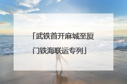 武铁首开麻城至厦门铁海联运专列