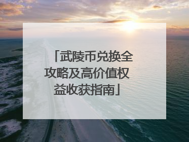 武陵币兑换全攻略及高价值权益收获指南
