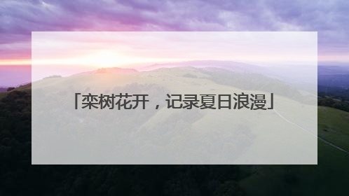 栾树花开，记录夏日浪漫