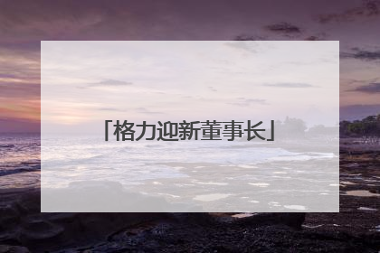 格力迎新董事长