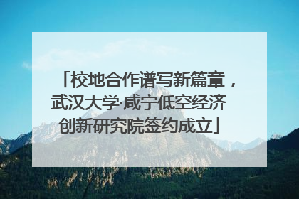 校地合作谱写新篇章，武汉大学·咸宁低空经济创新研究院签约成立