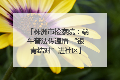 株洲市检察院：端午普法传温情 “银青结对”进社区
