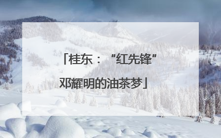 桂东：“红先锋”邓耀明的油茶梦