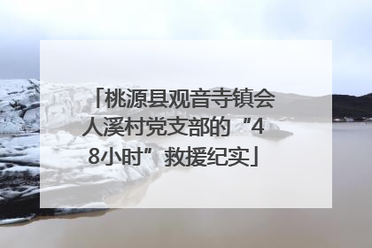 桃源县观音寺镇会人溪村党支部的“48小时”救援纪实