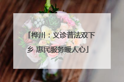 桦川：义诊普法双下乡 惠民服务暖人心