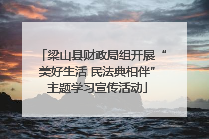 梁山县财政局组开展“美好生活 民法典相伴”主题学习宣传活动