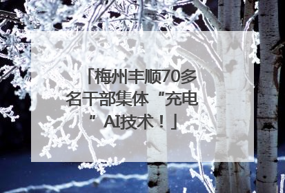 梅州丰顺70多名干部集体“充电”AI技术！