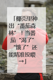 椰壳里种出“番茄森林”！当番茄“渴了”“饿了”还能精准投喂→