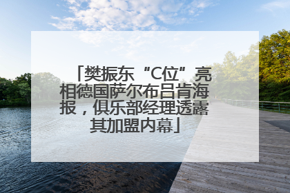 樊振东“C位”亮相德国萨尔布吕肯海报，俱乐部经理透露其加盟内幕