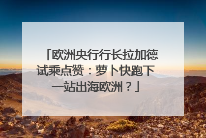 欧洲央行行长拉加德试乘点赞：萝卜快跑下一站出海欧洲？